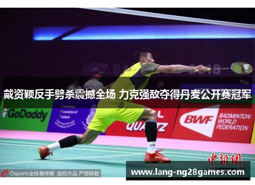 戴资颖反手劈杀震撼全场 力克强敌夺得丹麦公开赛冠军